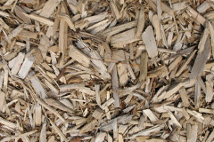 biomass boilers Minton