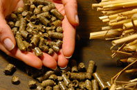 free Minton biomass boiler quotes